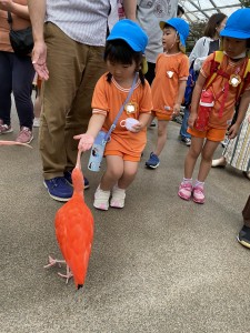 親子遠足に行きました（５歳児さくら組）