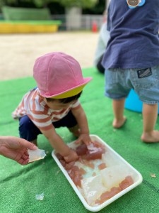 ６月のわくわくふれあい広場