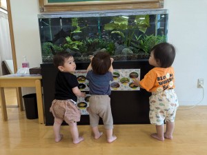 ７月のお誕生会（０、１、２歳児）