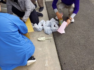 高松フラワーフレンドの活動に参加しました