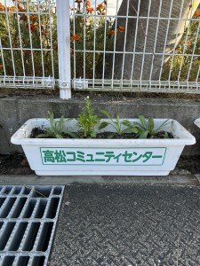 高松フラワーフレンドの活動に参加しました