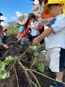 １０月のわくわくふれあい広場