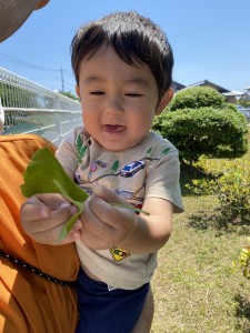 ６月わくわくふれあい広場