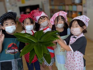 笹巻き作りを行いました（５歳児さくら組）
