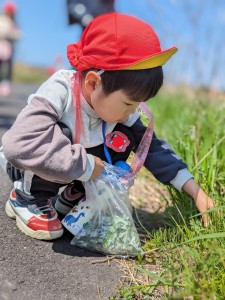 よもぎ摘みに出かけました🎵