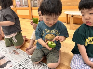 ピーマンの種取りしました♪（2歳児たんぽぽぐみ）