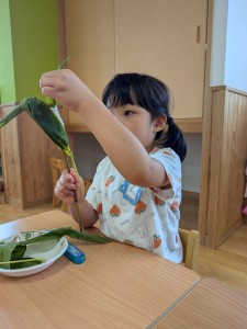 笹巻き作りをしました！！（5歳児🌸さくらぐみ）
