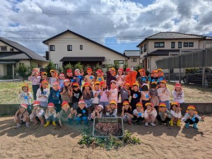 さつまいも掘りをしたよ🍠（３・４・５歳児）